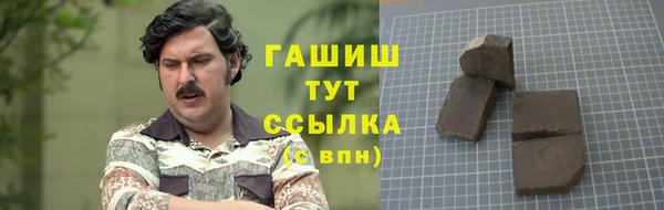 дживик Мегион