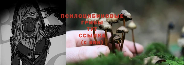 молекула духа Медвежьегорск