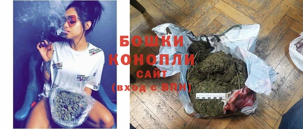 молекула духа Медвежьегорск