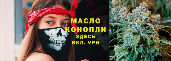 дживик Мегион