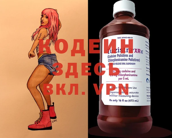 молекула духа Медвежьегорск