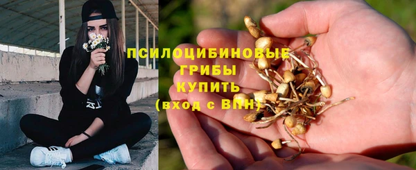 apvp Абдулино