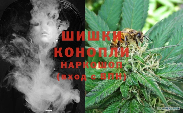 молекула духа Медвежьегорск