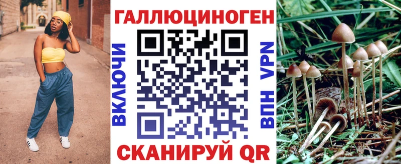 наркошоп Сорск Псилоцибиновые грибы ЛСД
